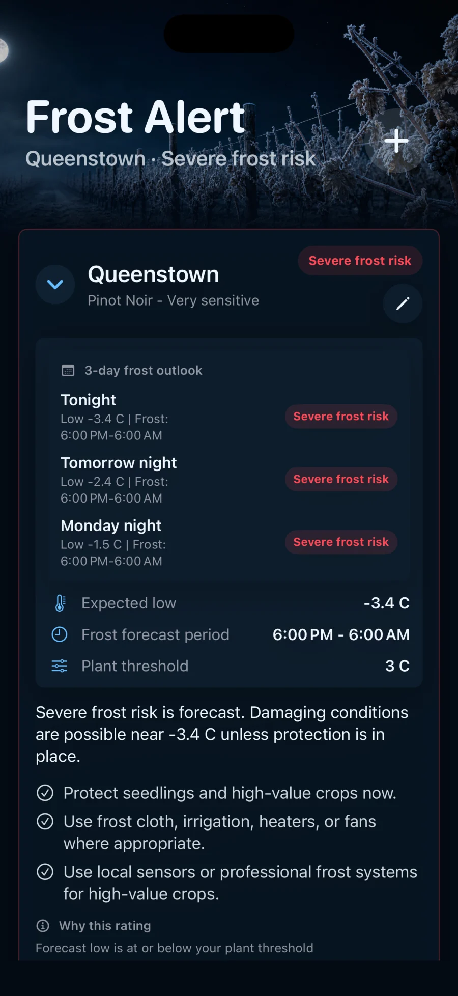 Expanded Queenstown location showing a three-night frost outlook